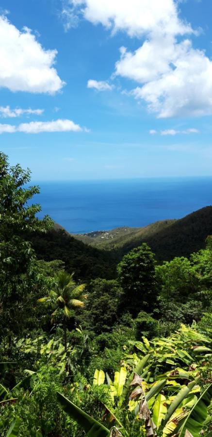 Ferienwohnung Cote Caraibes Bouillante Exterior foto
