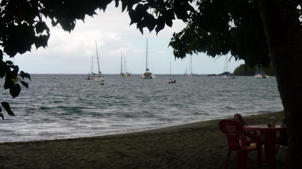 Ferienwohnung Cote Caraibes Bouillante Exterior foto